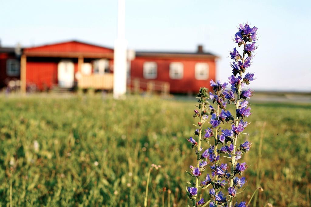 Stf Bunge Hostel Fårösund Eksteriør bilde